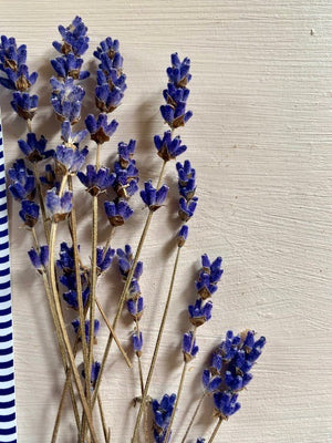 lavendel Salve